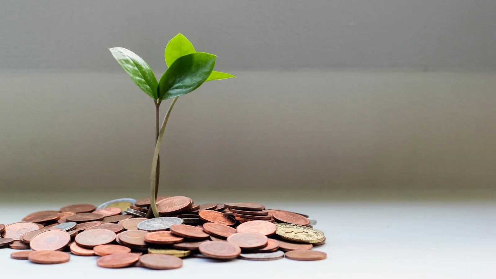 Brote verde creciendo sobre un montón de monedas